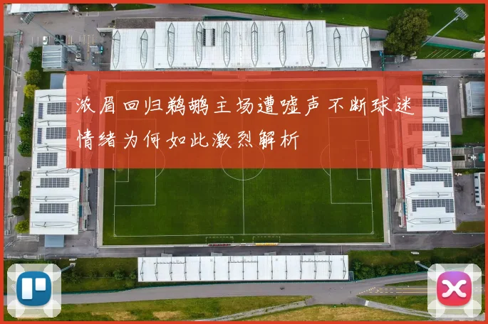 浓眉回归鹈鹕主场遭嘘声不断球迷情绪为何如此激烈解析