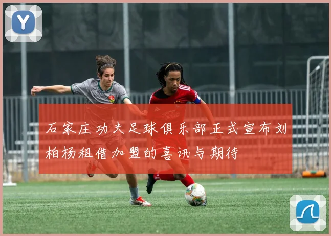 石家庄功夫足球俱乐部正式宣布刘柏杨租借加盟的喜讯与期待