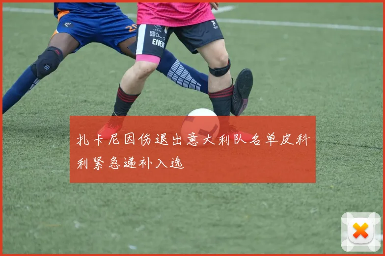 扎卡尼因伤退出意大利队名单皮科利紧急递补入选