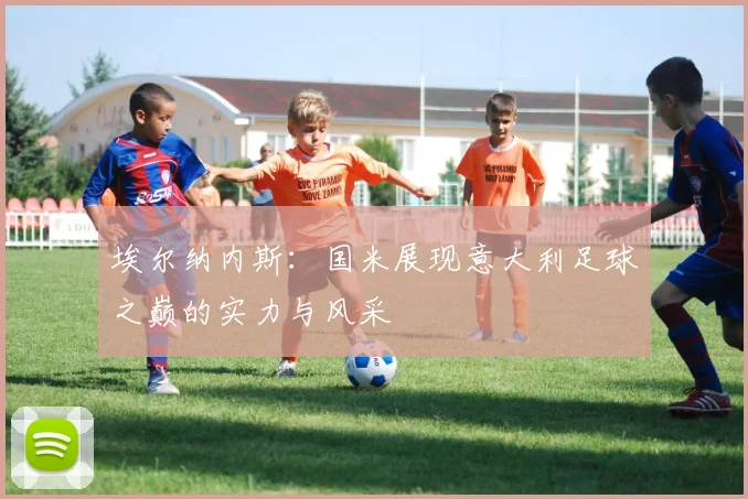 埃尔纳内斯：国米展现意大利足球之巅的实力与风采