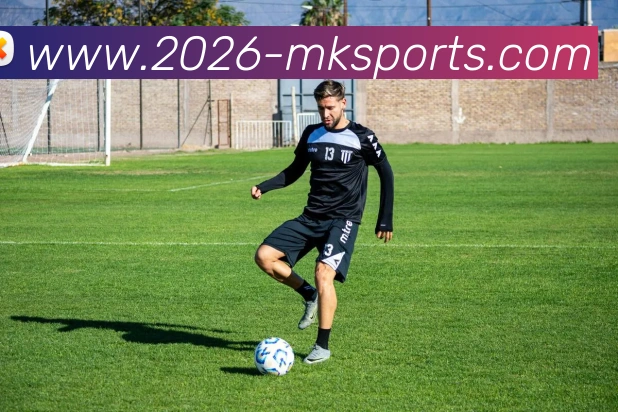 MK体育APP 封面图